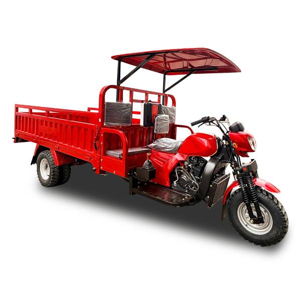 Triciclo de carga de servicio pesado-refrigerado por agua-de 300 cc