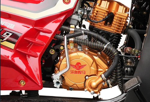 Heavy-Duty All-Weather Enclosed Cargo Tricycle Heavy-Duty All-Weather Enclosed Cargo Tricycle