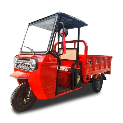Triciclo eléctrico de carga